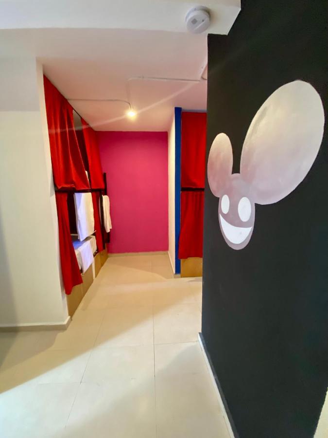 Why Not Rooftop Party Hostel 신데 델 카르멘 외부 사진